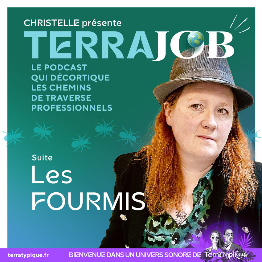 Et si on bossait comme des fourmis ?